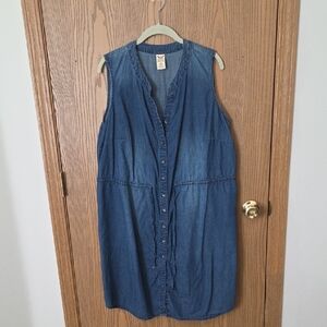 Faded Glory Blue Denim Dress